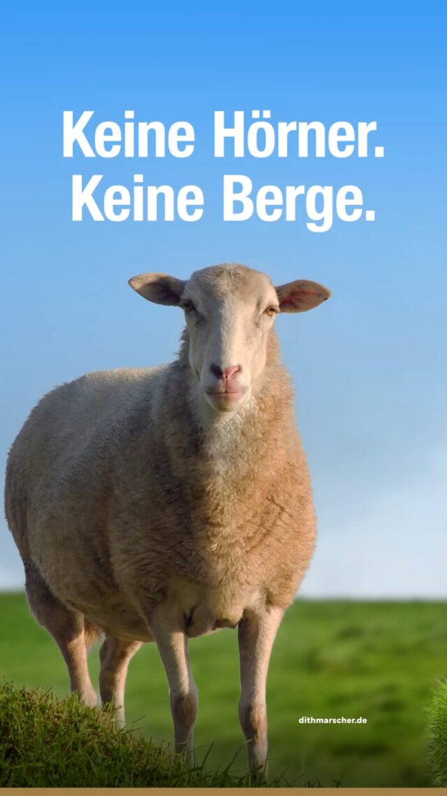 Herbst an der Küste ist Urbock-Zeit. 🍂 Vollmundig und würzig – gemacht für lange Abende. Unser Saisonbier gibt es nur für kurze Zeit. Schick das jemandem, mit dem du auf einen Dithmarscher Urbock anstoßen möchtest. 🍺

#dithmarscher #dithmarscherbrauerei #frischvonderküste #dithmarscherbiershop